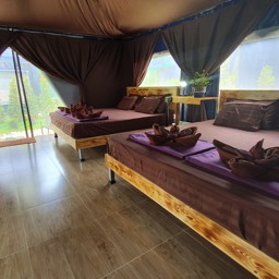<span lang=th>ห้องเต้นท์พัก 4 ท่าน</span><span lang=en>Quadruple Tented Room</span>
